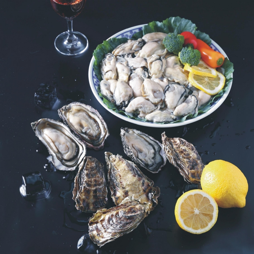 Giant mud flat pacific oysters