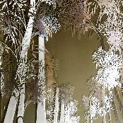 N·GEL® 3D NANO PATTERN FILM