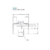 Korea Excellent Steel Stainless Various Types Union Forged Fittings (JIS B2316-1997)