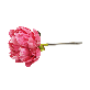 detail image2 Classy Peony Pen