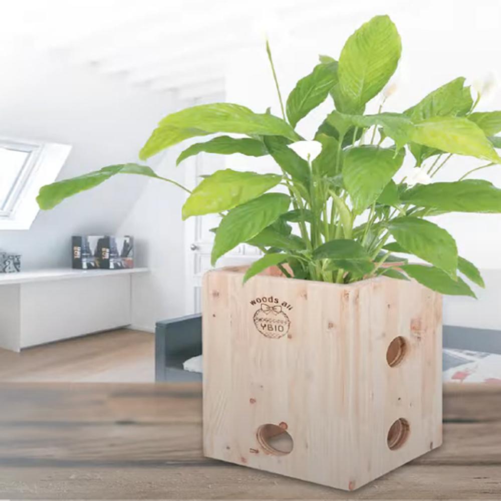 Eco Phytoncide Woods Humidification Air Cleaner Purifier Flowerpot Fishbowl