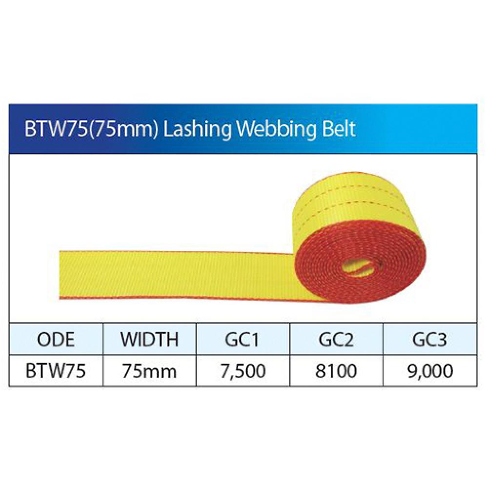 High Tenacity Various Colors Polyester Cargo Tiedown Lashing Webbing Belt Lashing Belt