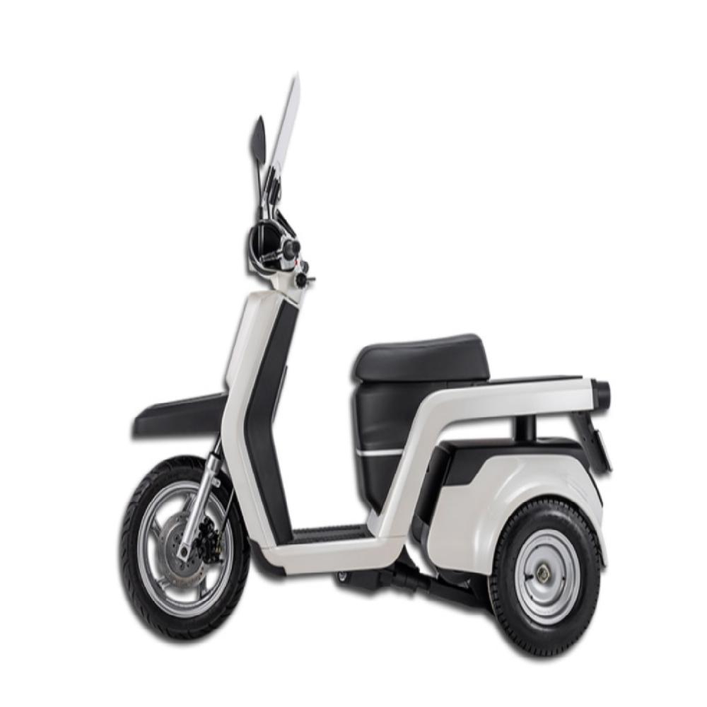 Electric Scooter EM3X