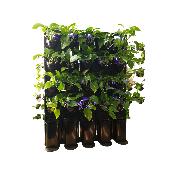 STACKO-POT (Vertical farm)