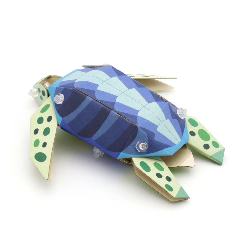 Artbot Green Sea Turtle