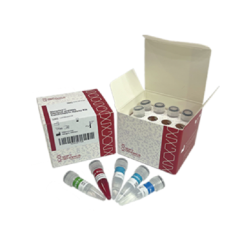 Simplex™ Dengue (DENV) Colorimetric Assay Kit