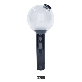 full image BTS official Light Stick SE