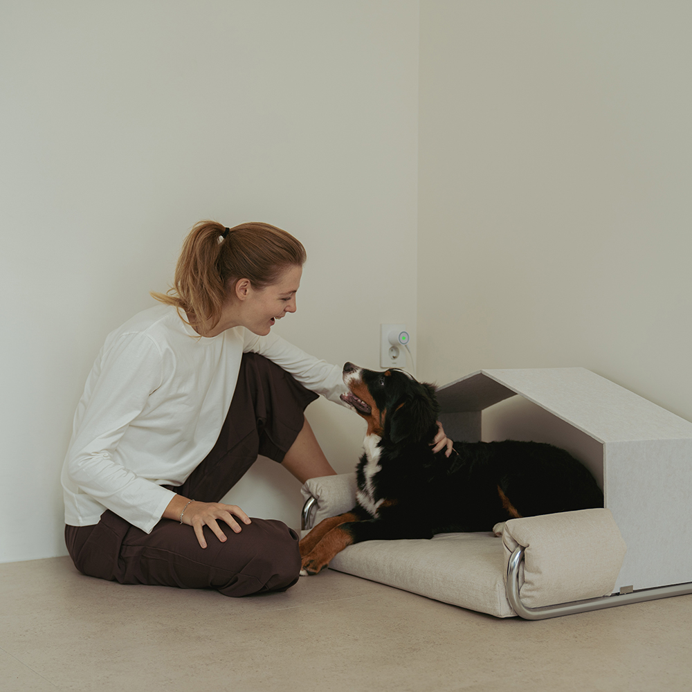 Dr.Friend Puppy Morden Sleep House