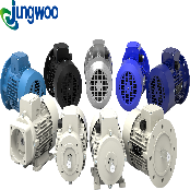 Customized Motor ( Hydraulic, Long shaft, Explosion proof, Hoists, Brakes, Magnet pumps, etc. )